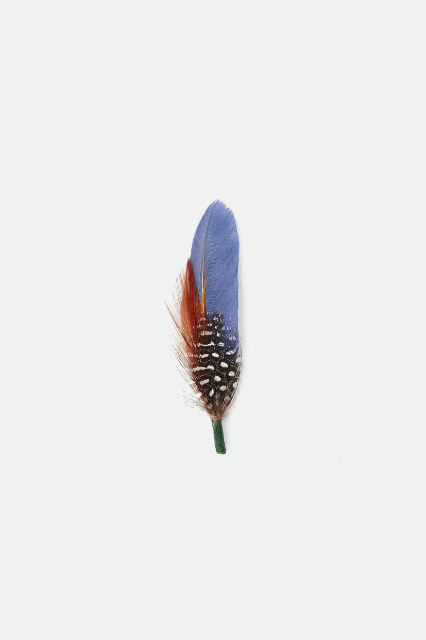 Accesorii Unisex Brixton Frank Universal Hat Feather Albastri | QALKT8619