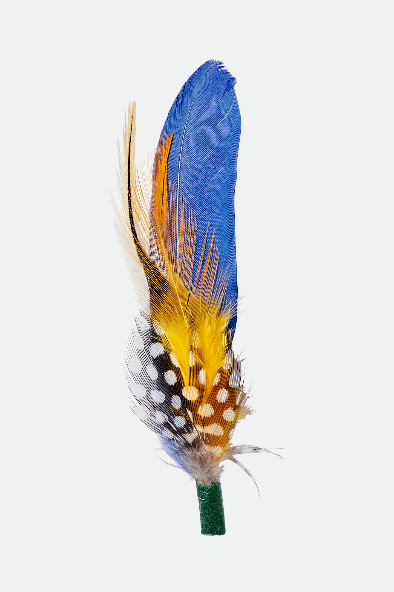 Accesorii Unisex Brixton Keith Hat Feather Colorati | EPFOA0125